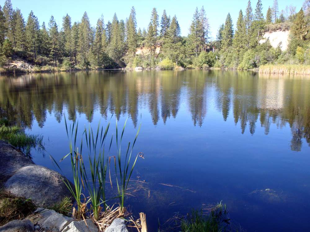 Hirschman's Pond one of the many sites on the database (Photo Credit: Sol Henson)