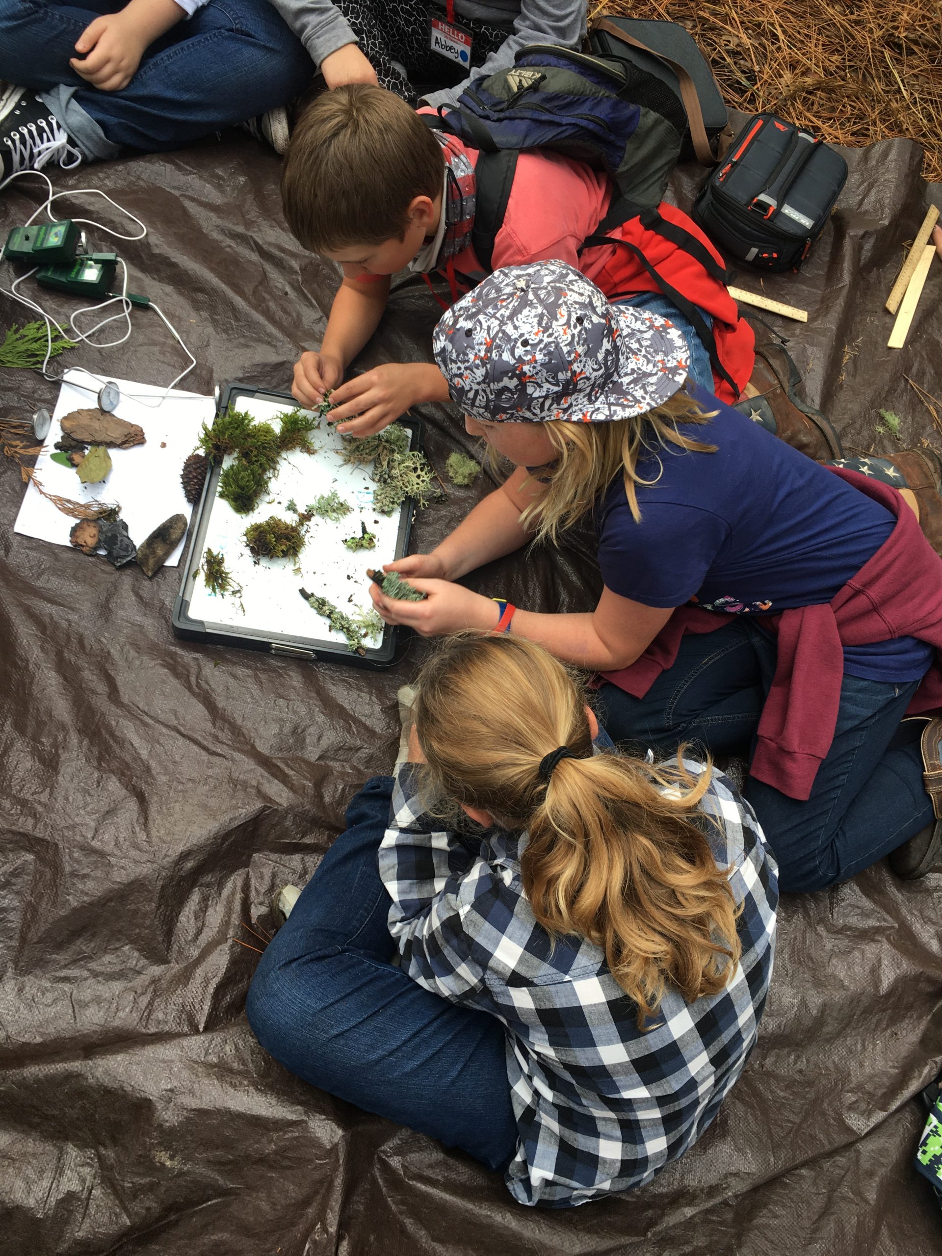 Students exploring lichen in the field (Photo Credit: Sol Henson)