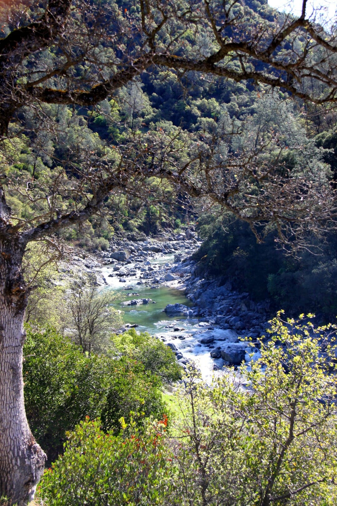 Geology Walk at South Yuba River State Park on June 3