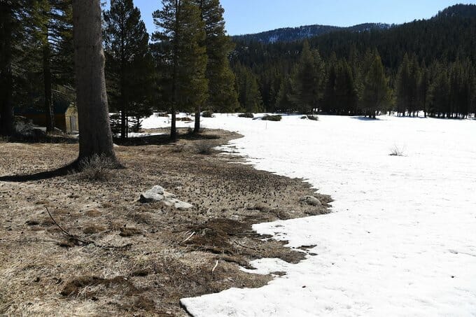 DWR: Warm, Dry Conditions Lead to Below Average Snowpack and Precipitation - YubaNet