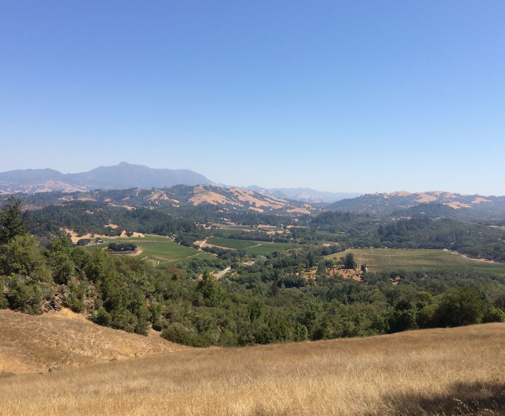 California Awards 116.8 Million to Conserve Agricultural Lands across