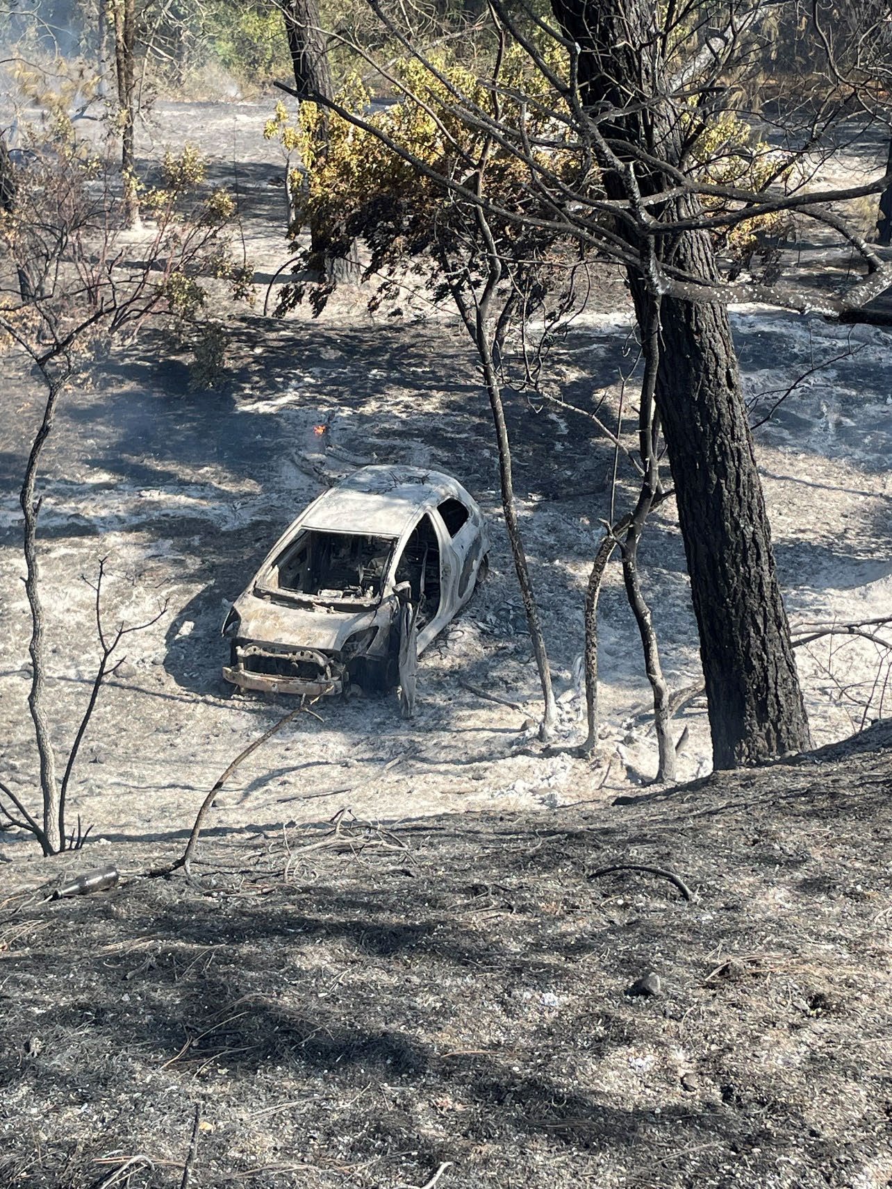 Chico man arrested for Park Fire arson