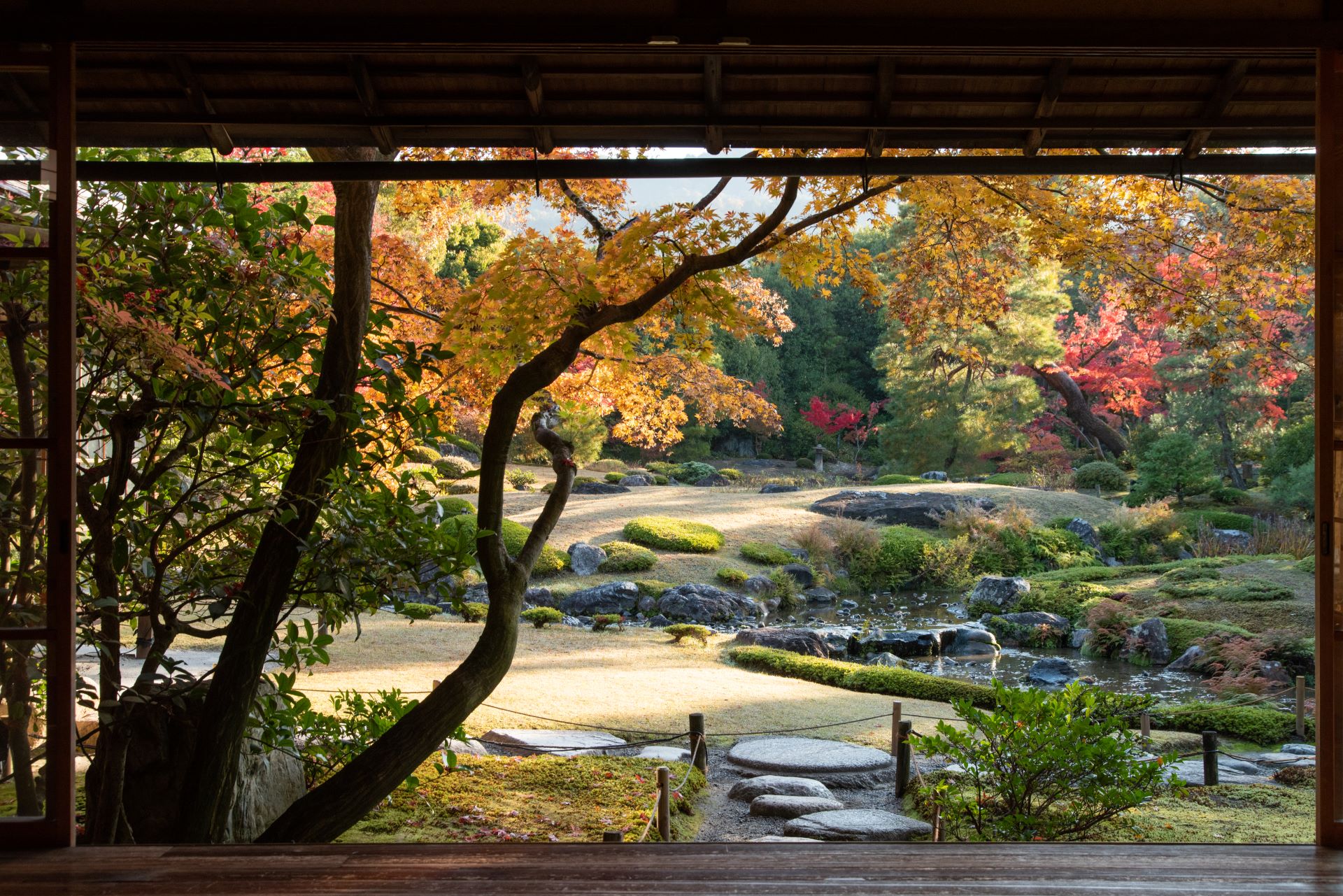 Seeing well-designed gardens could relax us almost immediately