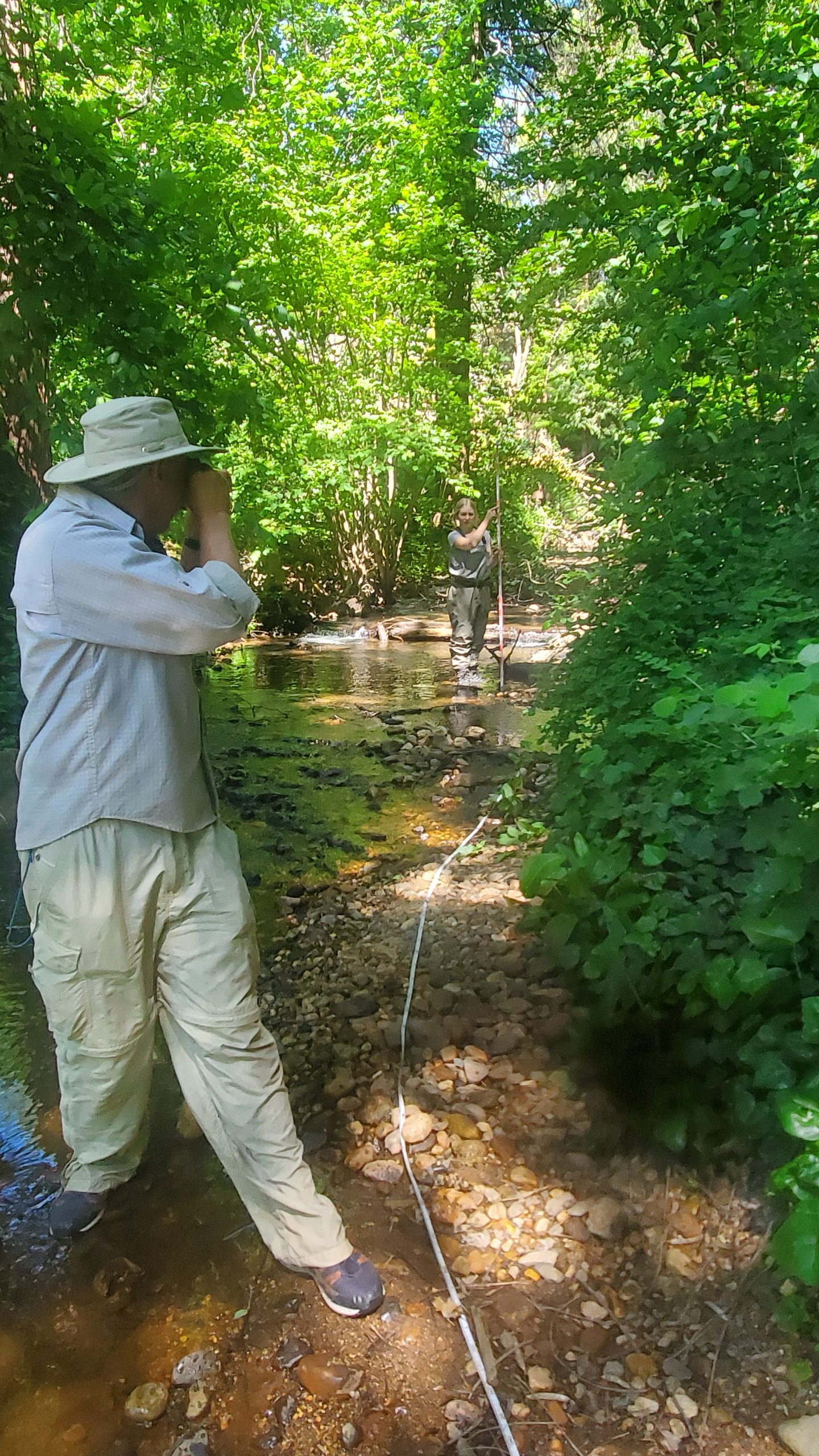 Ciencia, Música y Bichos de Arroyo: Sierra Streams Celebra 30 Años en Pioneer Park el 16 de Mayo