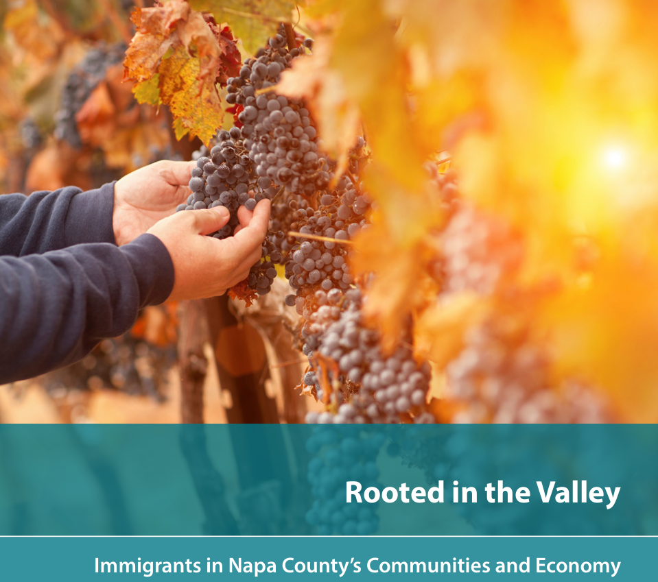Immigrant Workers in Napa County’s Wine and Hospitality Industry Contribute $1.5 Billion Annually to the Local Economy, New Report Finds