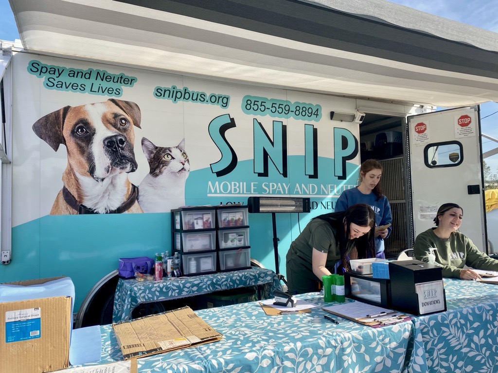 Last Call for Nevada County’s Free Spay and Neuter Services This Fiscal Year