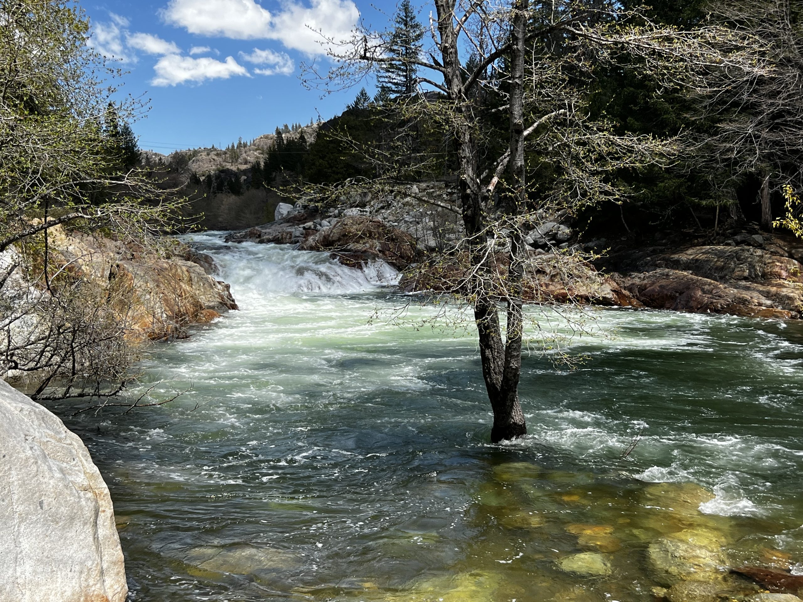 Cold, Swift Spring Flows Create Dangerous Conditions on Rivers and Streams