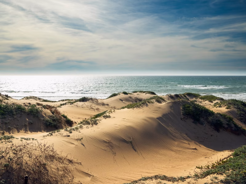 Coastal Dunes UC Santa Barbara