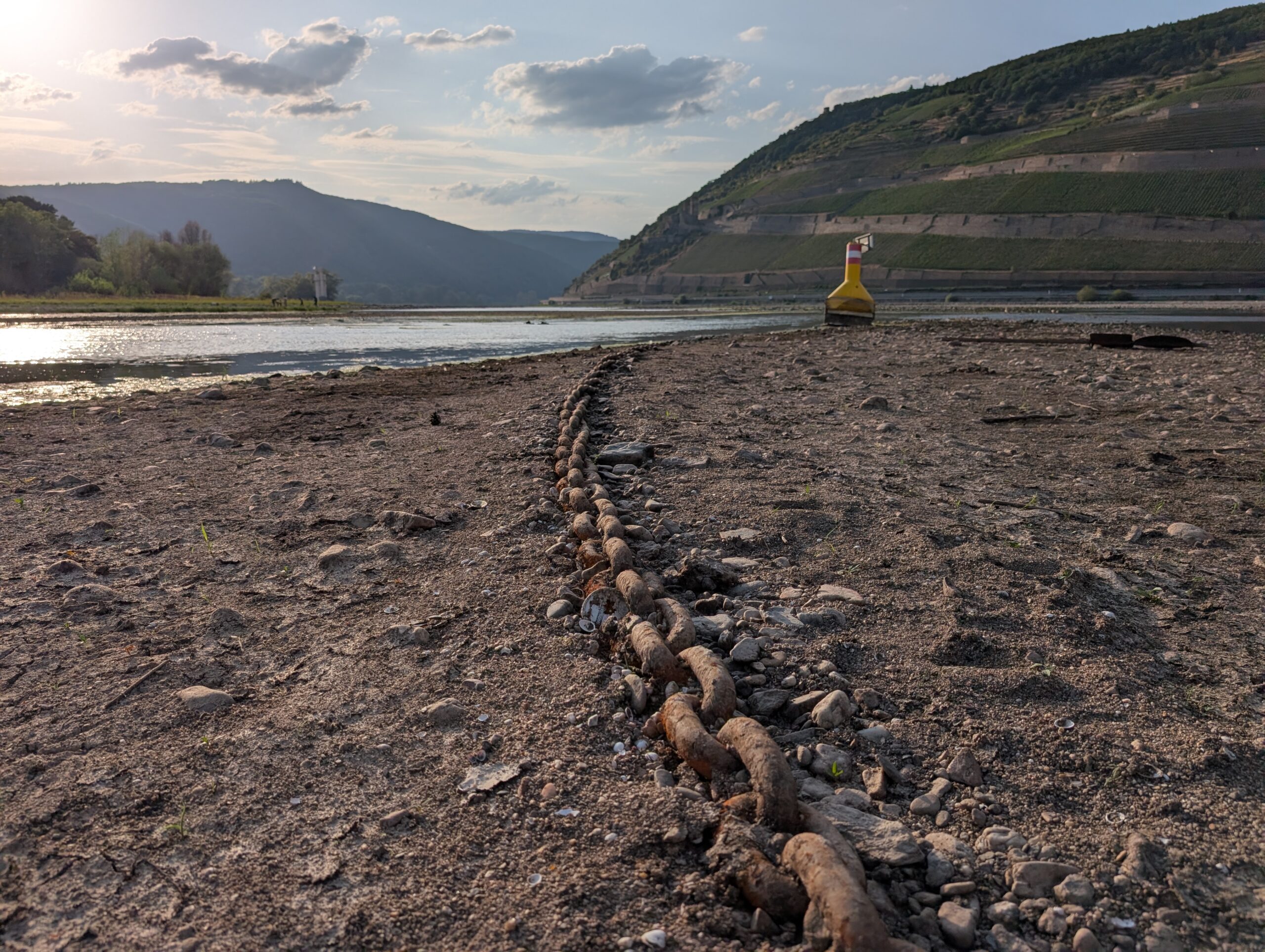 WMO report on global water resources: worldwide continents are drying up