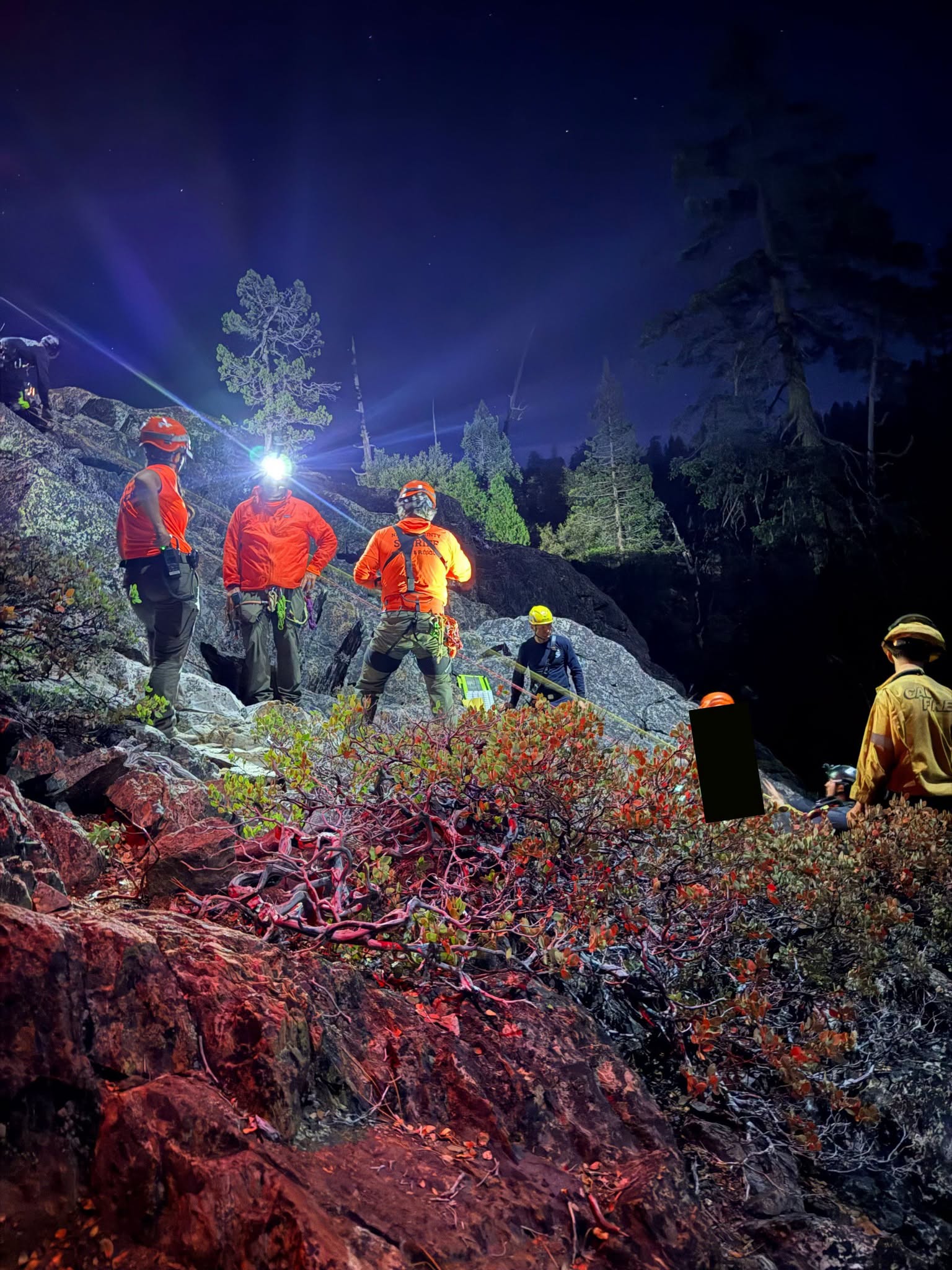 Search and Rescue Teams Save Woman and Dog Swept Away in River